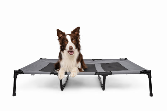M-PETS ELEVATED Pet Bed XL – Breathable Mesh Raised Dog Bed, Grey