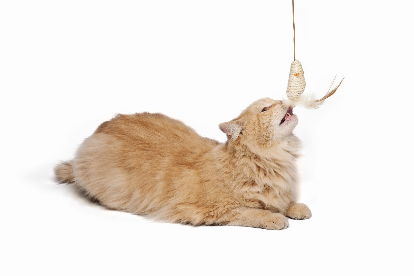 M-PETS NATURA Mouse Wand Cat Teaser Toy