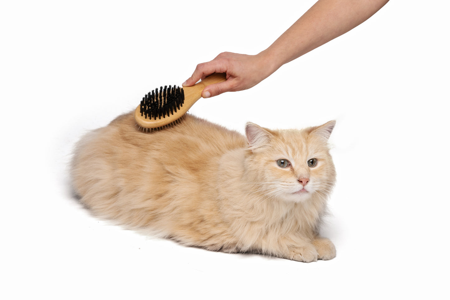 M-PETS - Bamboo Double Sided Brush for Pets