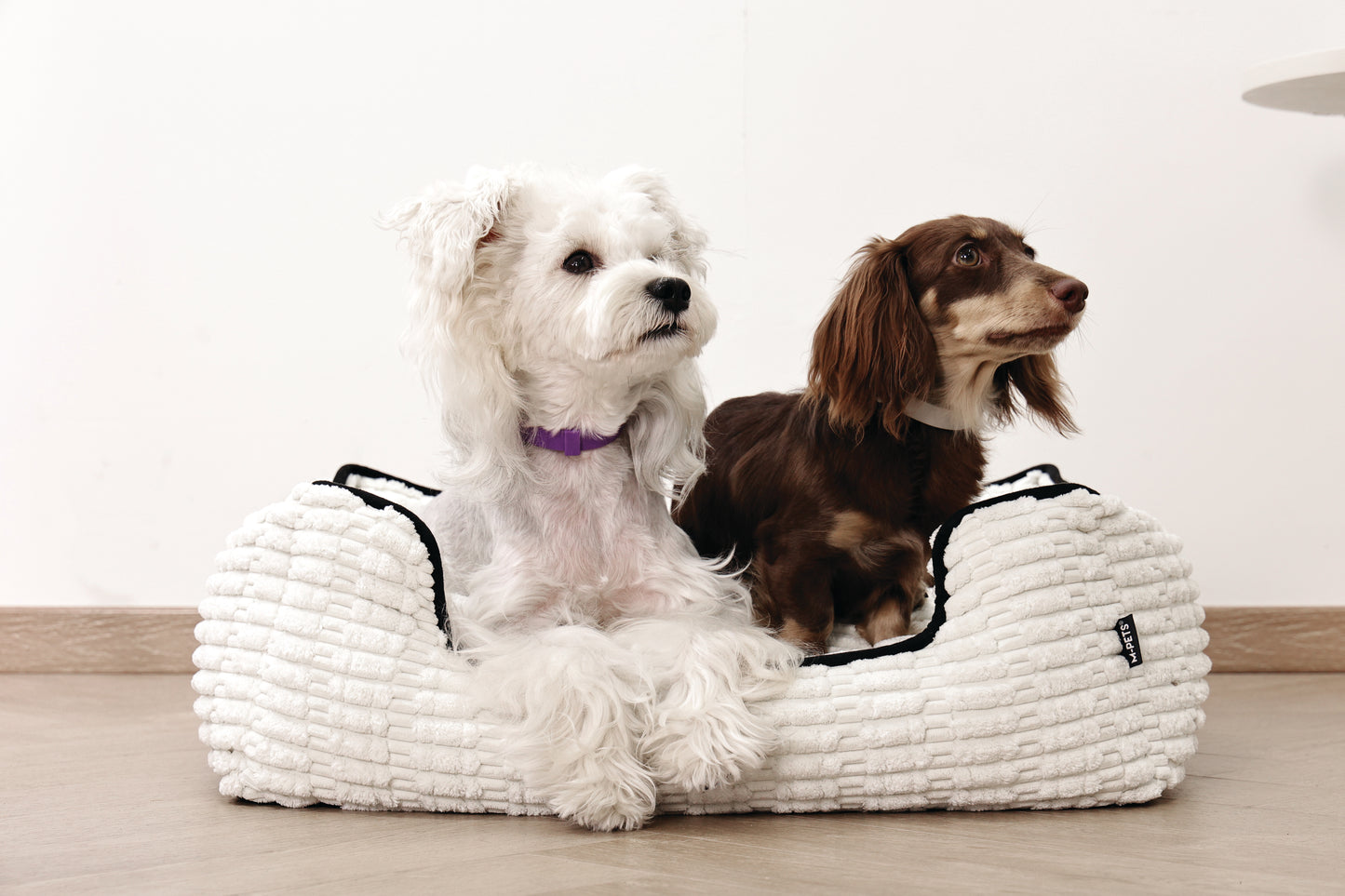 M-PETS Keep Calm Calming Pheromone Collar for Dogs, Anti-Anxiety Collar for Barking, Stress & Separation Anxiety, Up to 60 Days Calming Effect