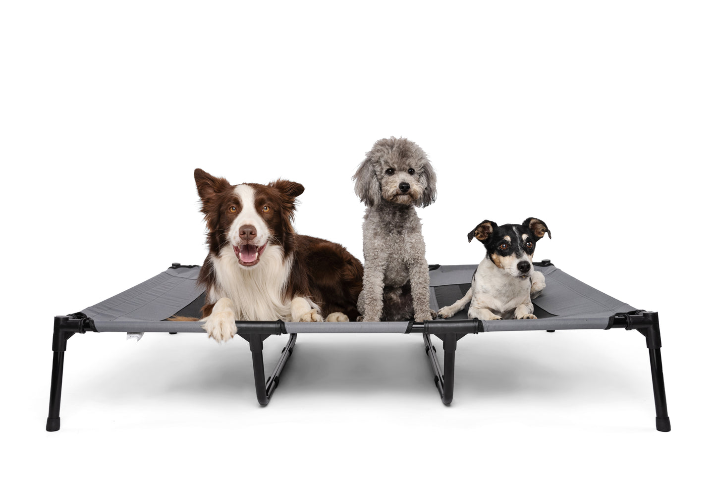 M-PETS ELEVATED Pet Bed XL – Breathable Mesh Raised Dog Bed, Grey