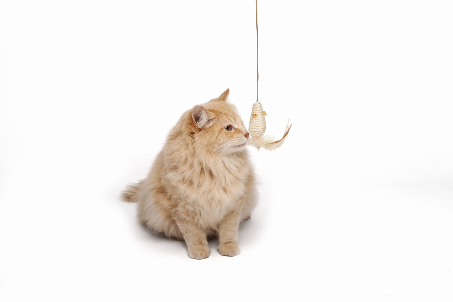 M-PETS NATURA Mouse Wand Cat Teaser Toy