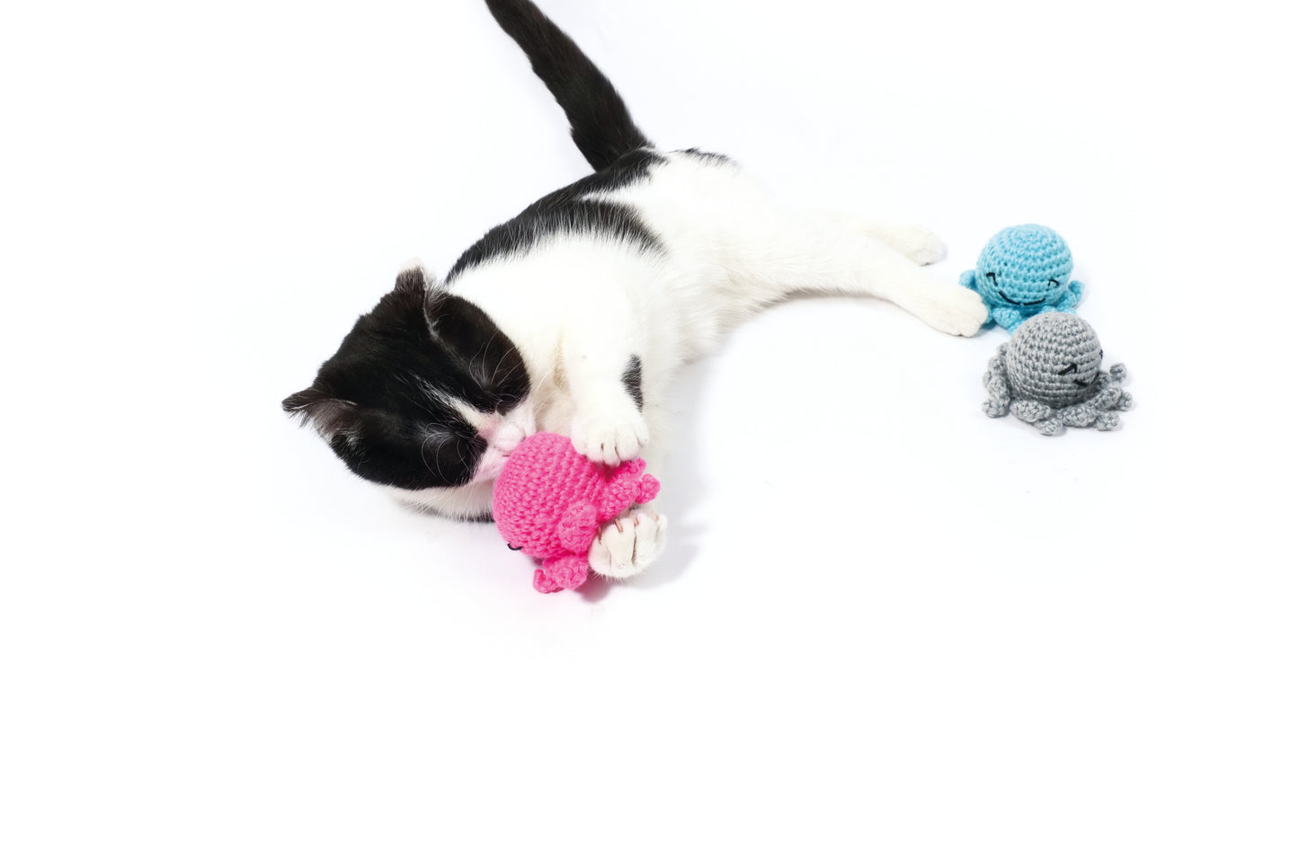 OCTOPUS Cat Toy – Organic Cotton Catnip Toy, Blue