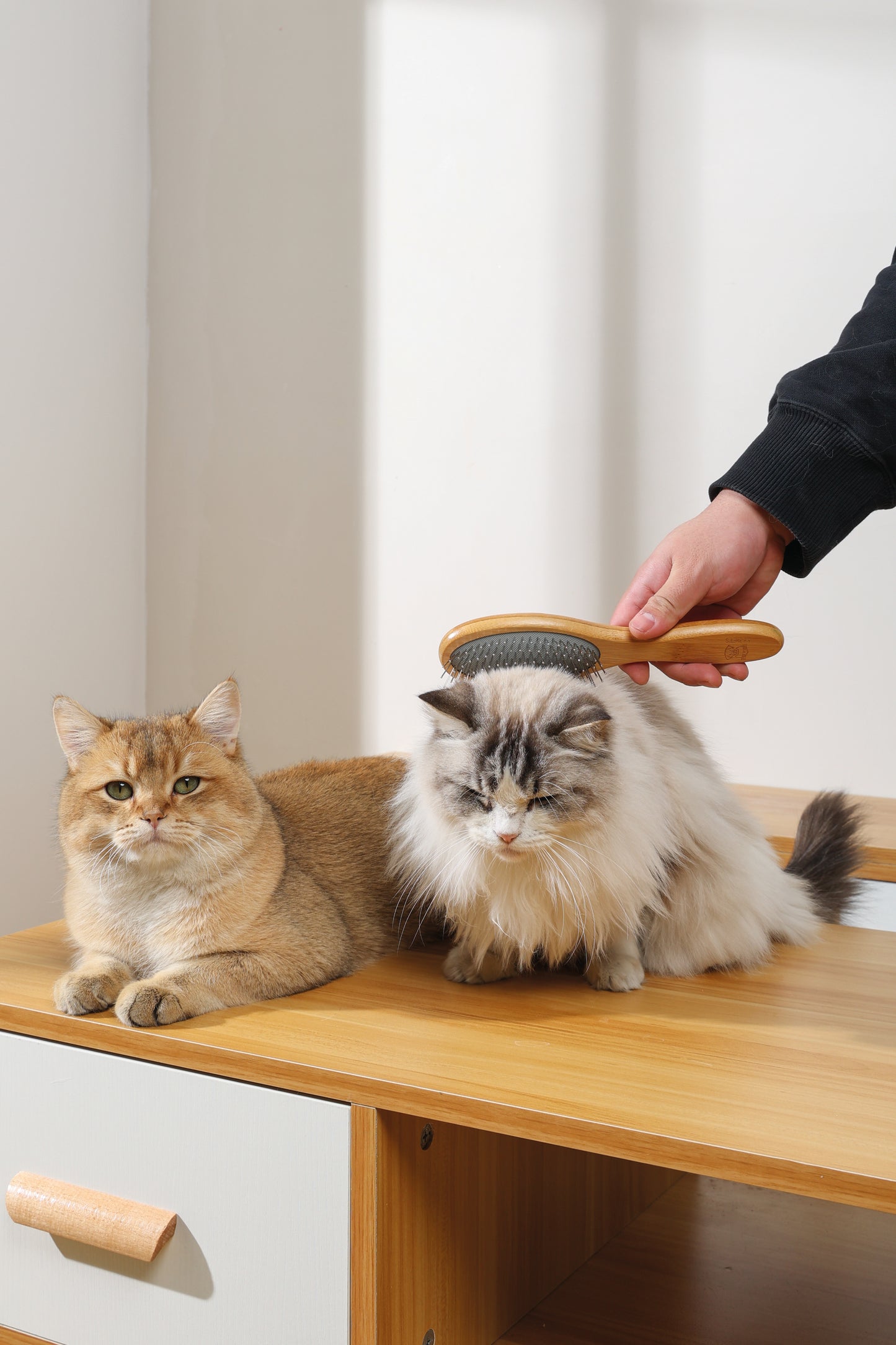 M-PETS - Bamboo Ball Pin Brush for Pets