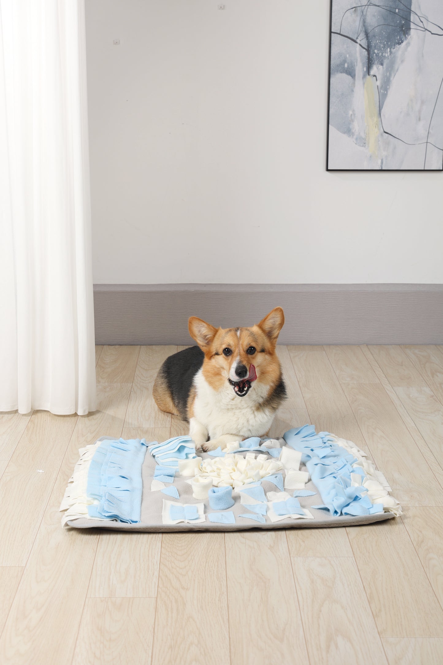 M-Pets Stratege Rectangle Sniffing Mat