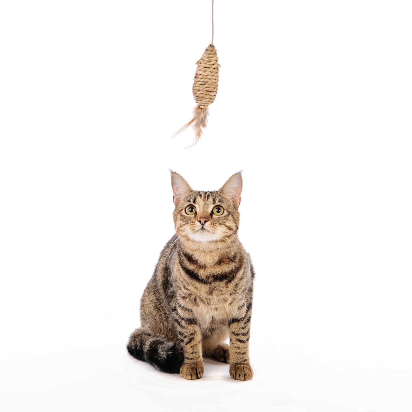 M-PETS NATURA Mouse Wand Cat Teaser Toy