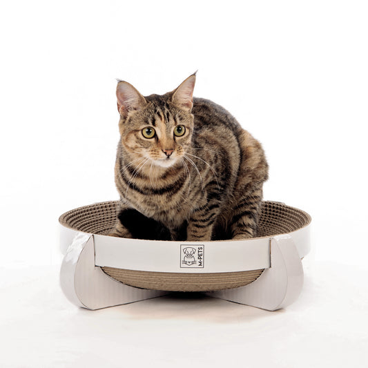 MPETS Cleveland Cat Scraper